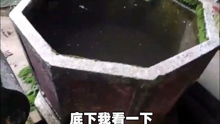 Take You on a Journey to Uncover the Secrets of a Century-Old Mansion