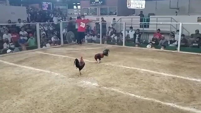 Master jl game farm