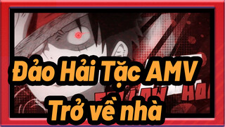 [Đảo Hải Tặc AMV] Trở về nhà / Hoành tráng