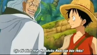 Khi Luffy biết mình có Haki bá vương #amv