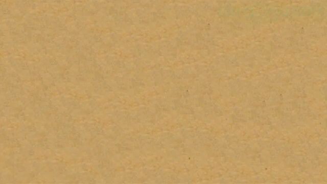 สงคราม อเมริกา ผ่ารัสเซีย