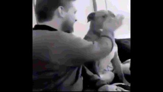 Này thì đùa dai với tau