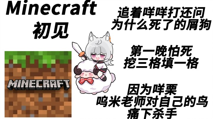 [咩栗*兀米] Minecraft's gauze teammates and their birds