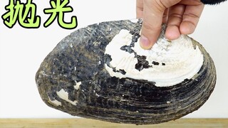 【抛光狂魔】对巨型河蚌下手了！丧心病狂