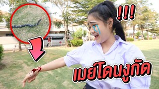 เมย์ โดนงูไล่กัด !!