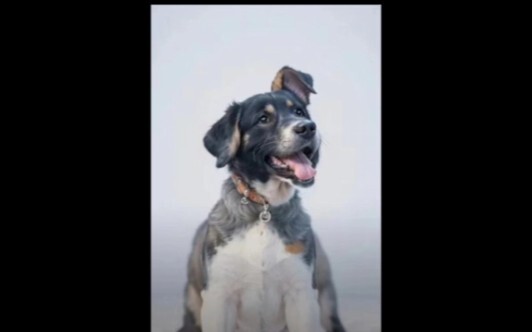 Video ini hanya bisa dilihat sekali saja.