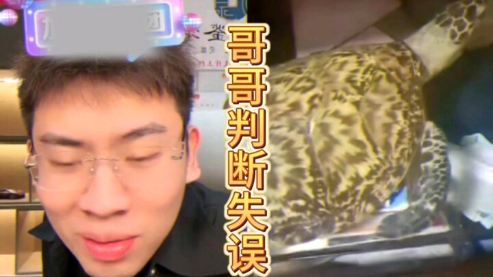 哥哥判断失误，妹妹只能捐献