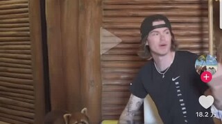 A TikTok foreigner staying at a Chinese homestay discovered a red panda, charming countless netizens