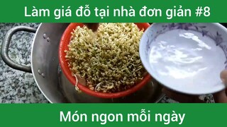 Làm giá đỗ đơn giản tại nhà p8