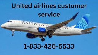 81 Ways To Contact Delta Airlines Customer Service By Phone, Chat and Email Options: Quick Tips