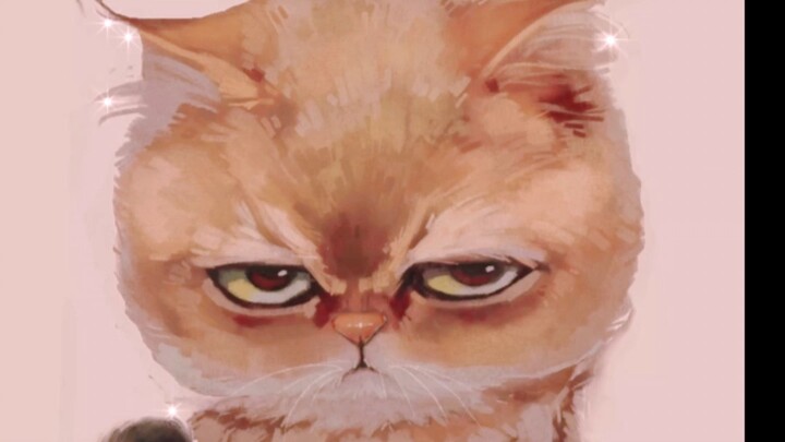 hình như con động vật cute