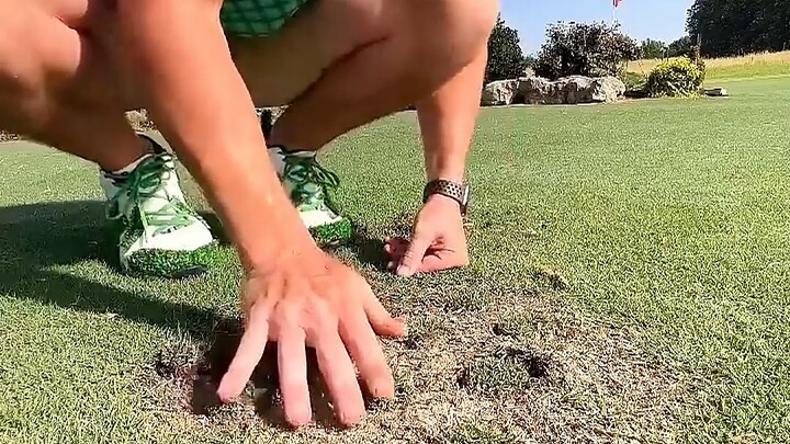 สถานที่ทำงานที่น่าพึงพอใจของลูกระนาด~