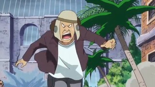 Kemampuan buah paling lengkap dan imajinatif yang dikembangkan di One Piece
