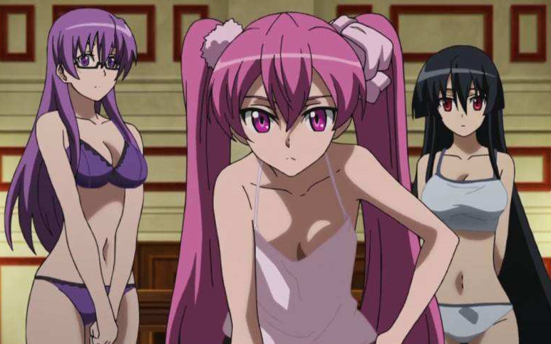 Akame Ga Kiru Hentai