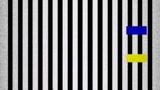 A fascinating visual illusion—do you dare to take the challenge?