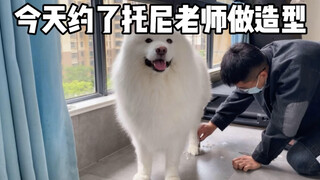 每一只美貌的小狗狗背后都有一个手艺精湛的老托尼！