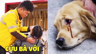 Lộ Hố | Cảm Động Lộ Hố Hi Sinh Bản Thân Mình Để Bảo Vệ Bà... 😥 Gâu Đần Official