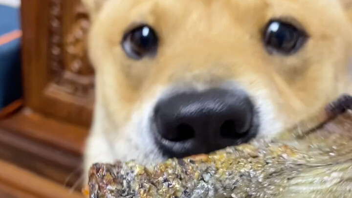 Anh chàng: Chạy đêm vất vả thế này, ăn chút đồ đêm thì sao chứ?