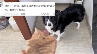 感觉脑袋晕晕的