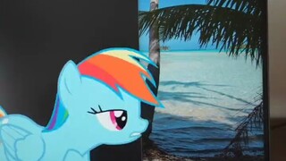 【短片】又欺负小马是不是！！