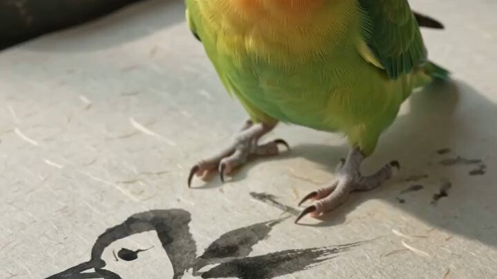 bird calligraphy