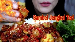 ASMR SAMBAL JENGKOL TERI  TERNIKMAT SEDUNIA | ASMR MUKBANG INDONESIA