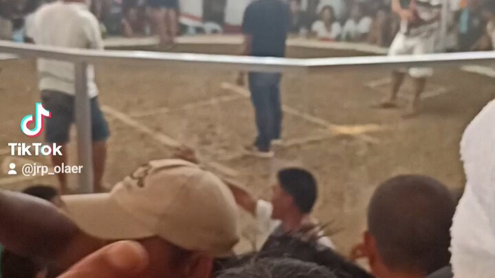 3x winner alimbuyogon