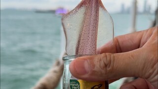 حبار القفز مع كورديسيبس، كل ثانية مريحة هي ثانية ثمينة