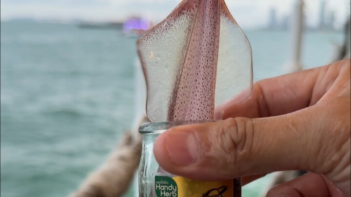 ปลาหมึกกระโดดกับถั่งเฉ้า สบายแค่วินาทีเดียวก็คุ้มแล้ว