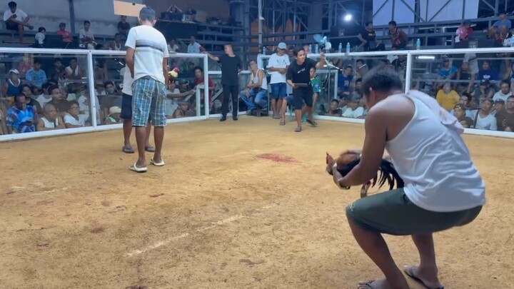3x winner palaging walang sugat salamat po sa tiwala 🐓🫡