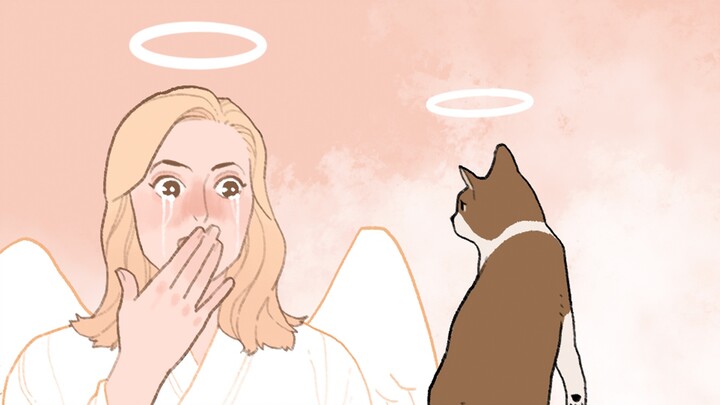 The lives of stray cats are also worthy of respect! If you don’t love them, please don’t hurt them!