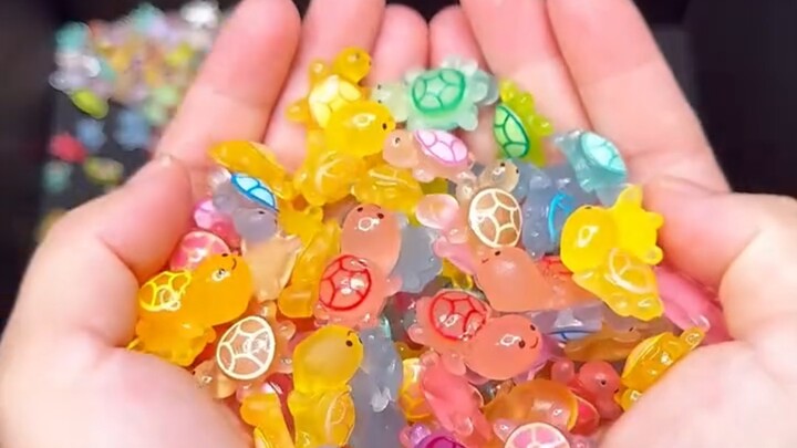 Rùa con gửi tặng các bạn!