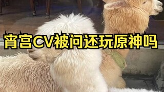 Nanako ditanya apakah masih bermain Genshin Impact, Nanako: Aku... sudah ketinggalan kereta. Peta Fo