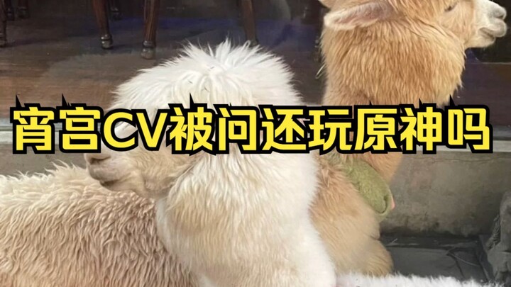 Nana-tử bị hỏi có còn chơi Genshin Impact không, Nana-tử: Tôi... không theo kịp nữa rồi. Bản đồ Font