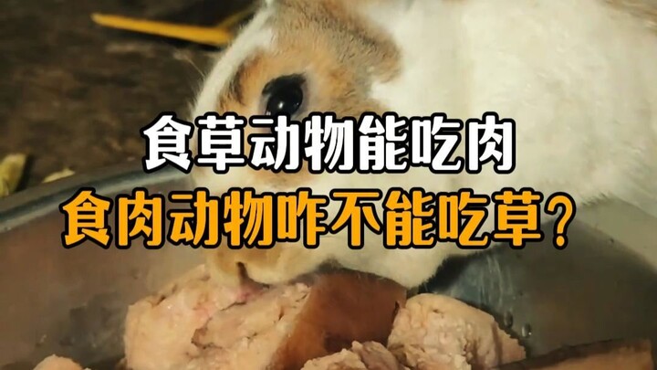 Why do herbivores eat meat, while carnivores can’t eat grass?
