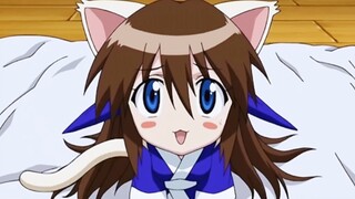 一觉醒来全岛妹子和动物互换了