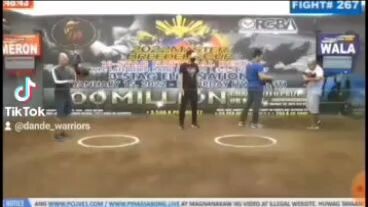 (golden boy sweater) D&E WARRIORS GAP CAVITE MBC 3 COCK ELIMINATIONS NOTE: FIGHT NO.1