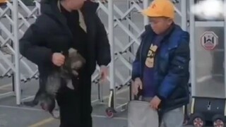 给孩子一个完整的童年