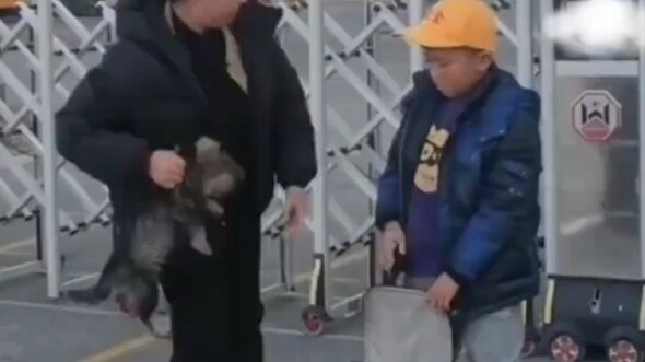 给孩子一个完整的童年