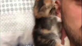 Kepercayaan Kucing