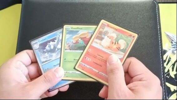 Pokémon TCG National Dex! 🌍 3 cards every day until the binder is full 2/???