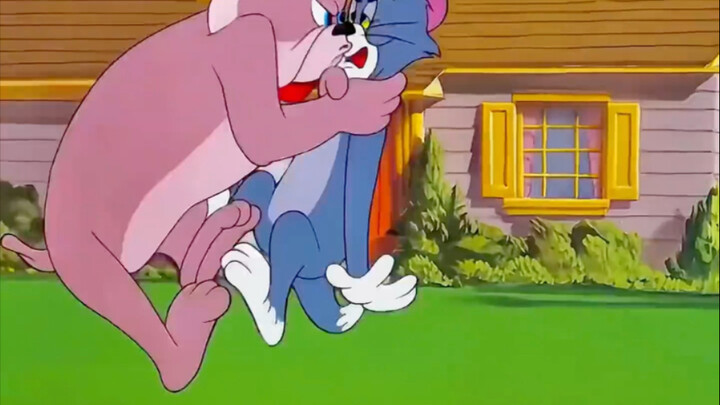 Another Beating Day for Tom