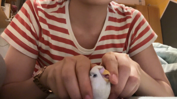 Pengambilan gambar dalam keadaan kacau-balau