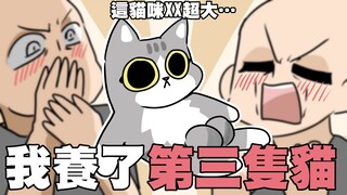 我养了第三隻猫！这猫咪XX超大…!?｜阿啾家的第三隻猫｜阿啾小剧场