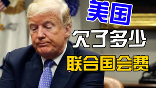تعريف الفيديو الشهير للأمم المتحدة 5 (قد يكون الجميع مسؤولين عن الوصول إلى 5 في هذه السلسلة)