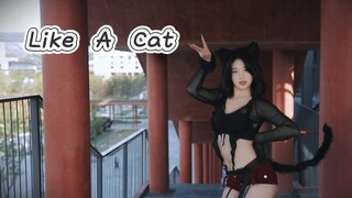 【En En】Operation Arrest the Kitten AOA—Catwalk Quietly Like a Cat