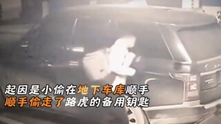 小区业主：有些人车不行，人也不行！