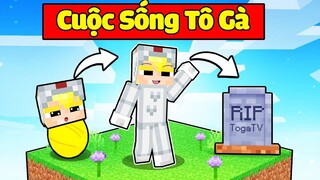 TÔ GÀ THỬ THÁCH 24H CÓ CUỘC ĐỜI TỪ NHỎ TỚI LỚN TRONG MINECRAFT*CUỘC SỐNG CỦA TÔ GÀ TỪ BÉ ĐẾN LỚN