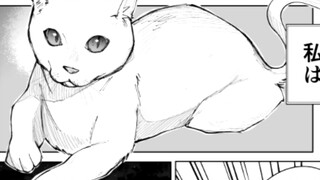 How to conquer the yandere? After the cute cat girl unlocks the yandere attribute, it's really scary