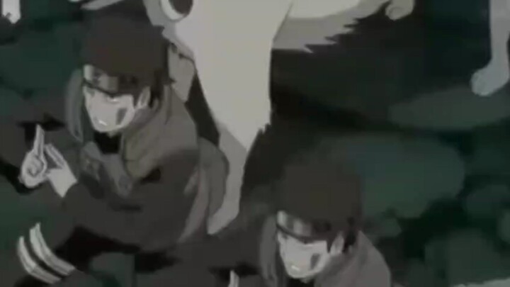 kiba ino
